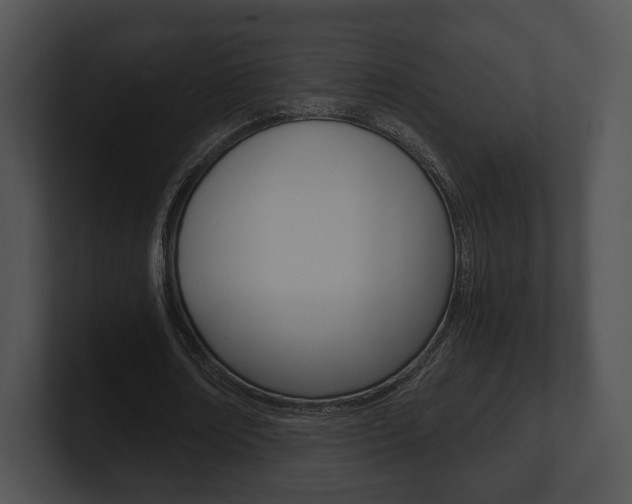 X0000100900674200806241031
