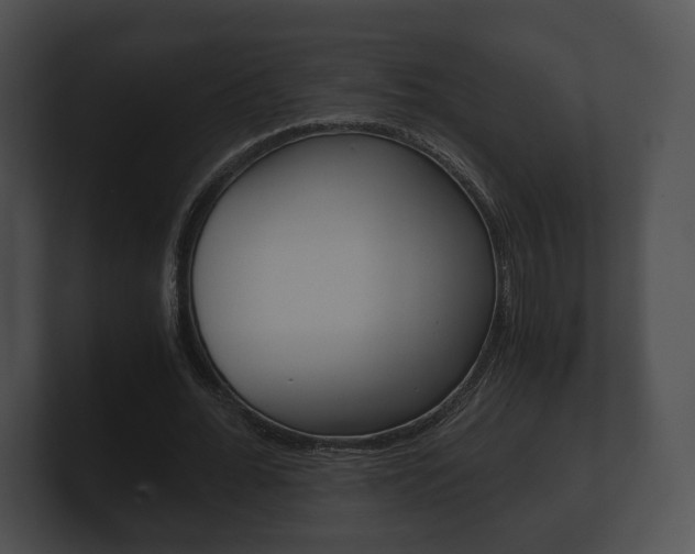 X0000100900676200806241031
