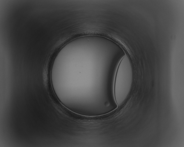 X0000100900677200806241031