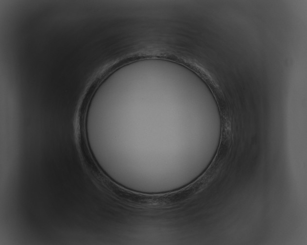X0000100900678200806241031