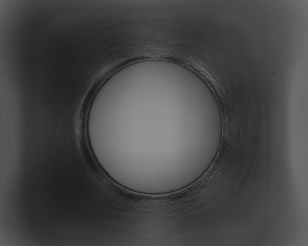 X0000100900679200806241031