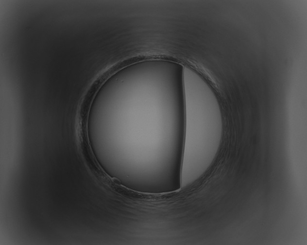 X0000100900684200806241031