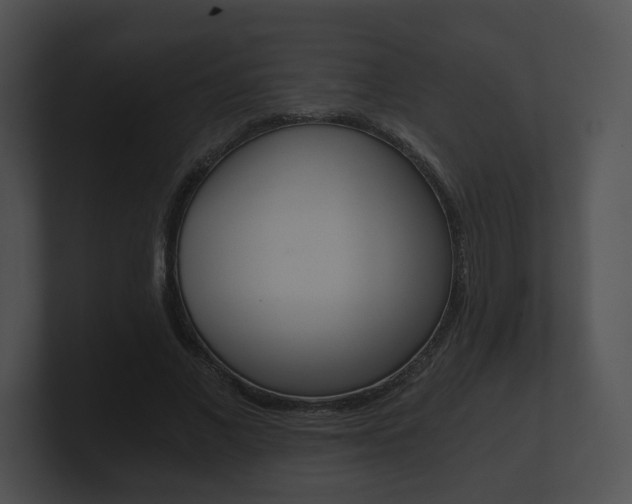 X0000100900685200806241031