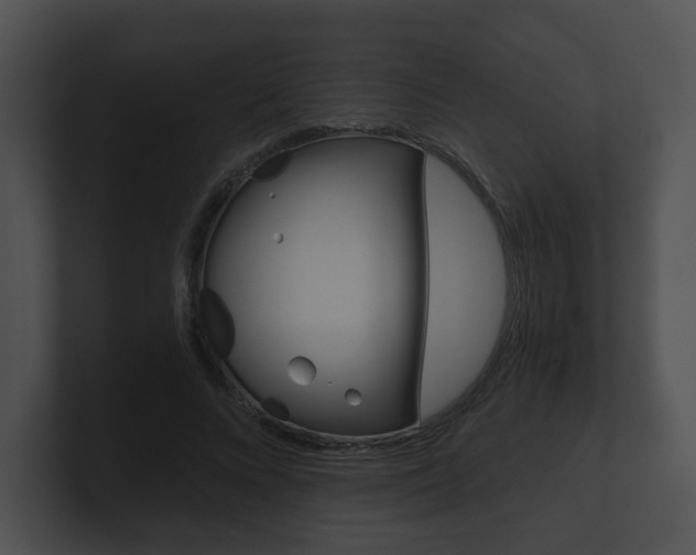 X0000100900688200806241031