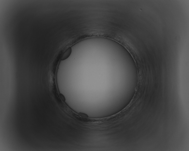X0000100900692200806241031