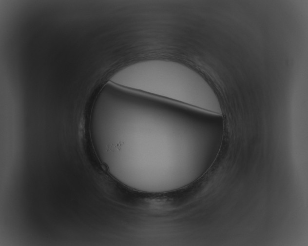 X0000100900693200806241031