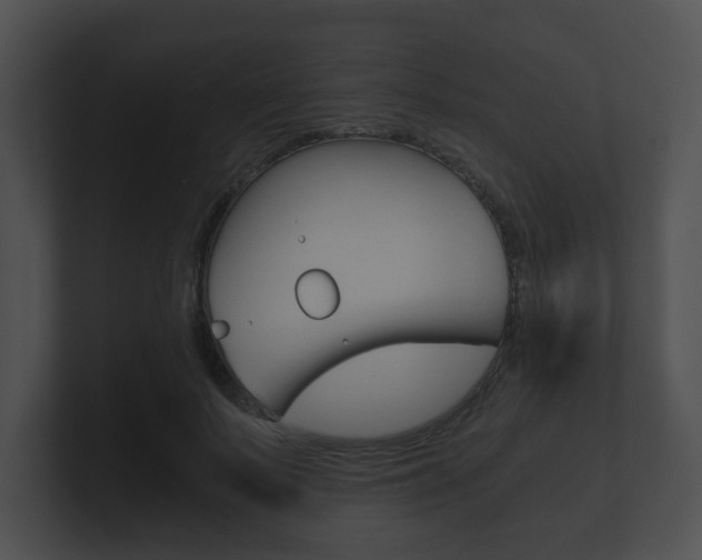X0000100900695200806241031
