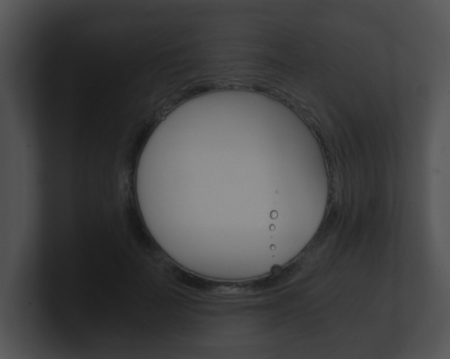 X0000100900699200806241031