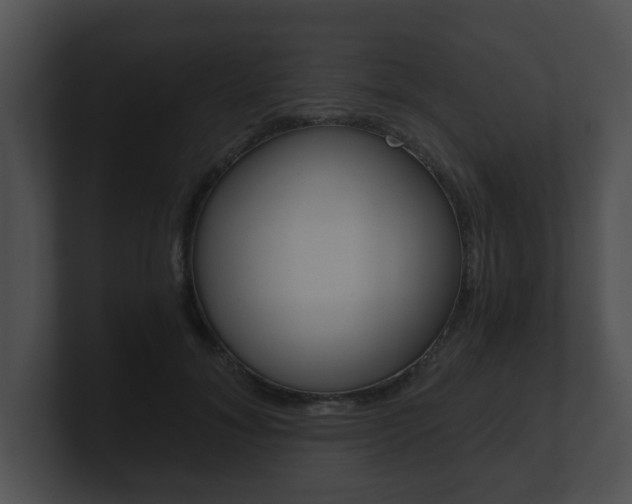 X0000100900700200806241031