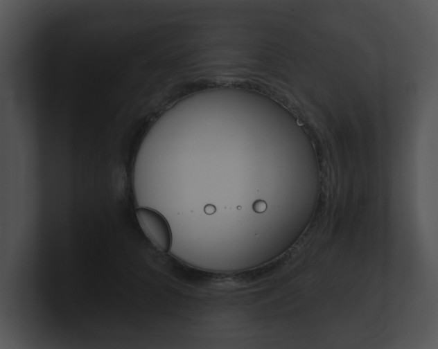 X0000100900704200806241031