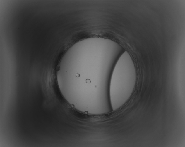 X0000100900707200806241030