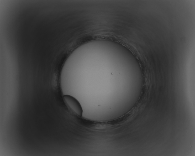 X0000100900708200806241030
