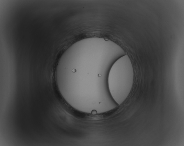 X0000100900711200806241030