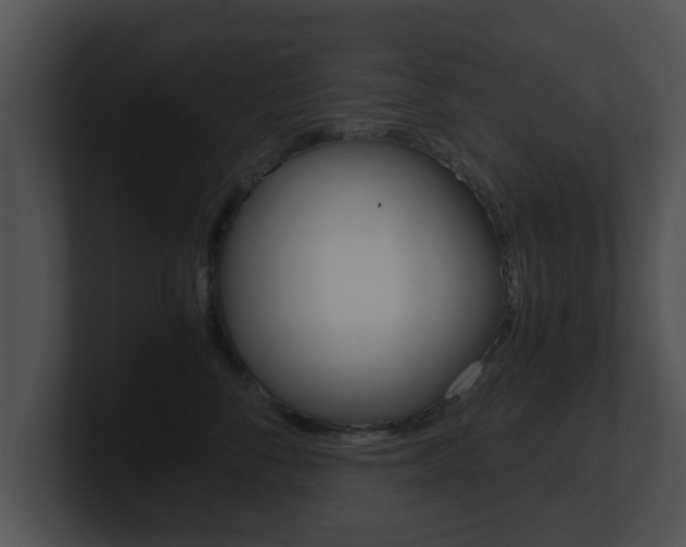 X0000100900716200806241030