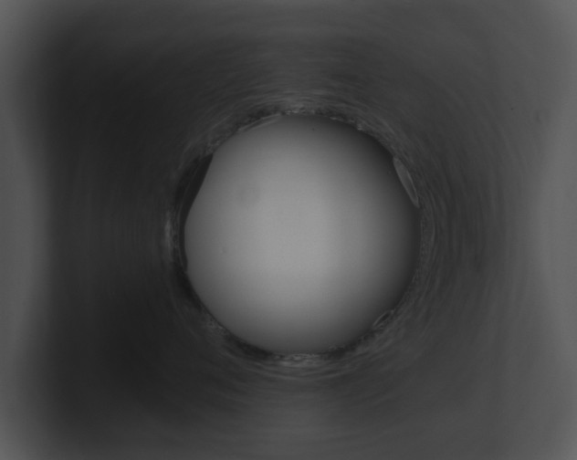 X0000100900720200806241030