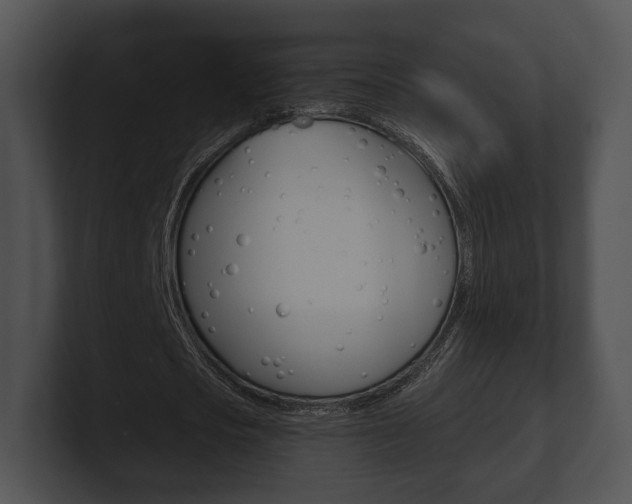 X0000100900721200806241030