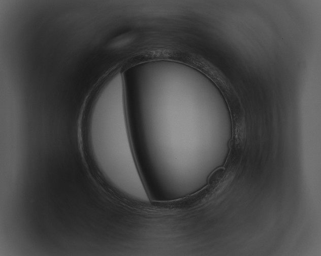 X0000100900722200806241030