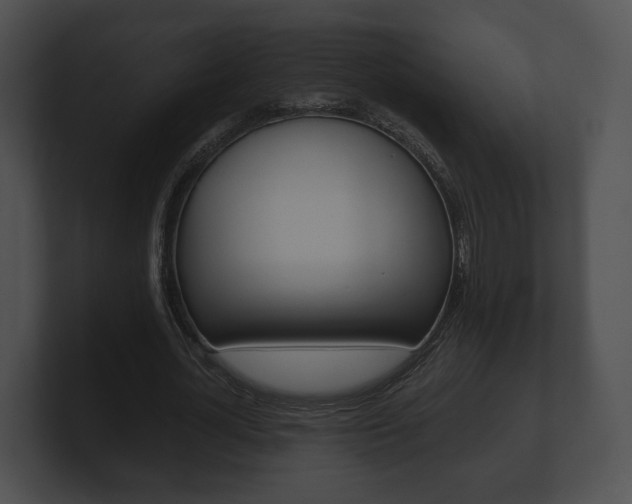 X0000100900724200806241030
