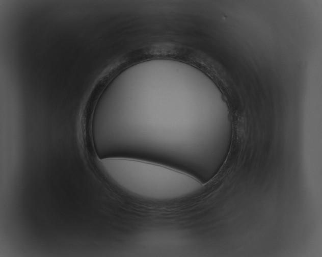 X0000100900727200806241030