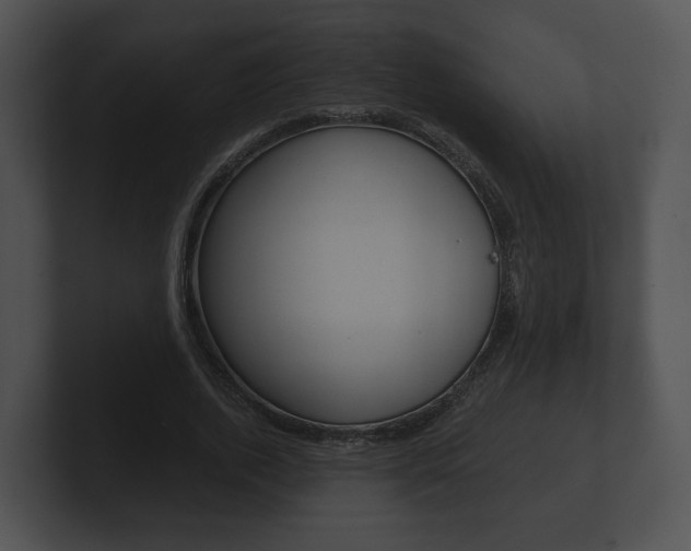 X0000100900728200806241030