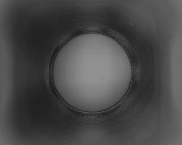 X0000100900729200806241030