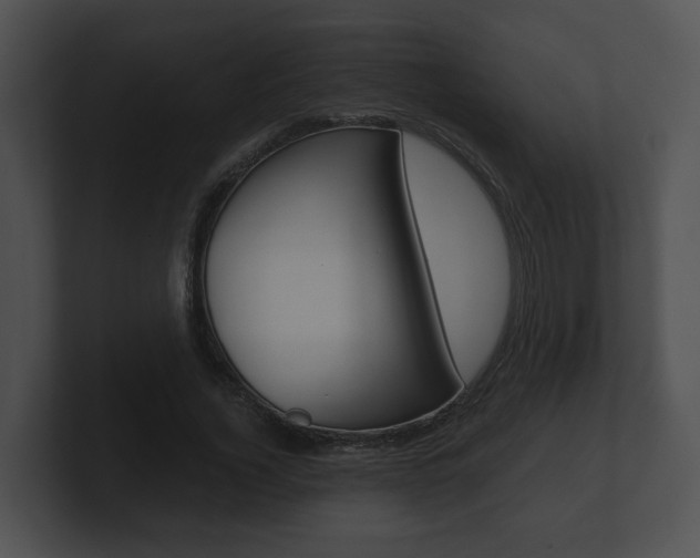 X0000100900732200806241030