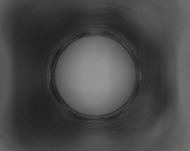 X0000100900733200806241030