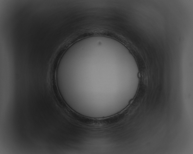 X0000100900735200806241030
