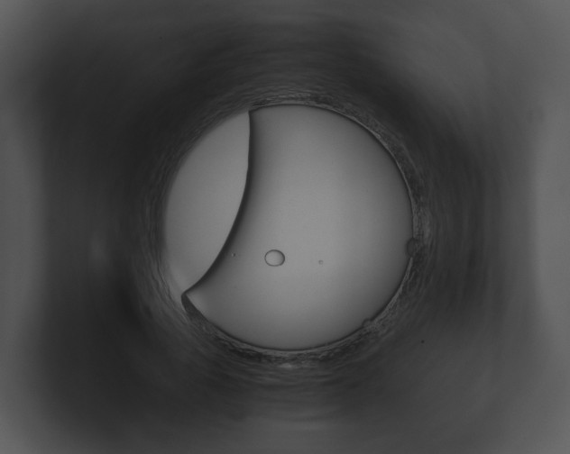 X0000100900737200806241030