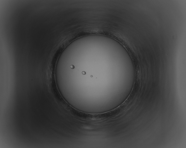 X0000100900739200806241030