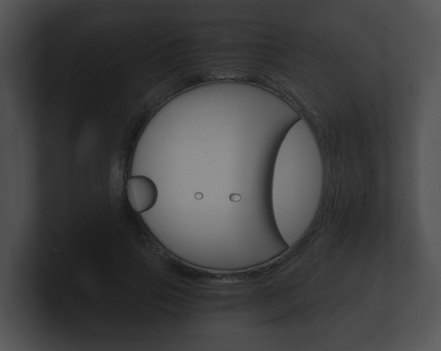 X0000100900741200806241030