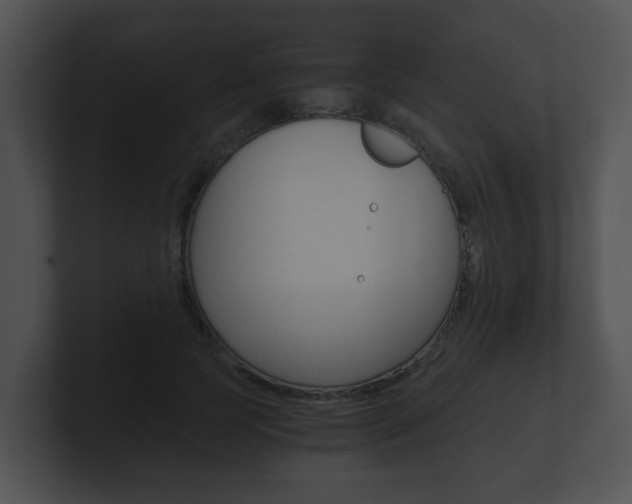 X0000100900745200806241030