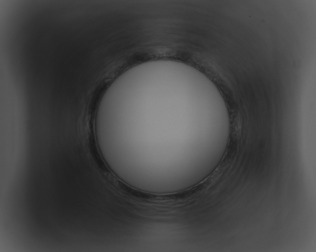 X0000100900746200806241030