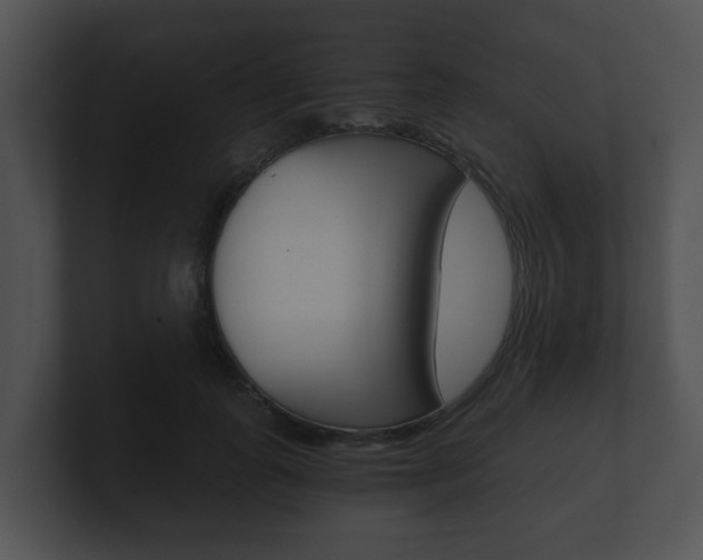 X0000100900747200806241030