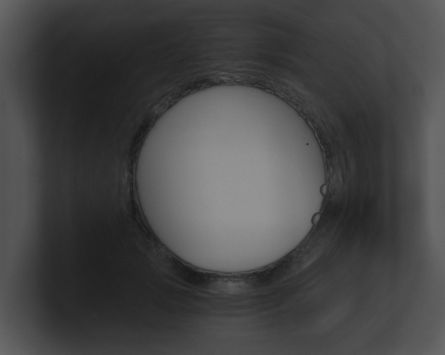 X0000100900749200806241030