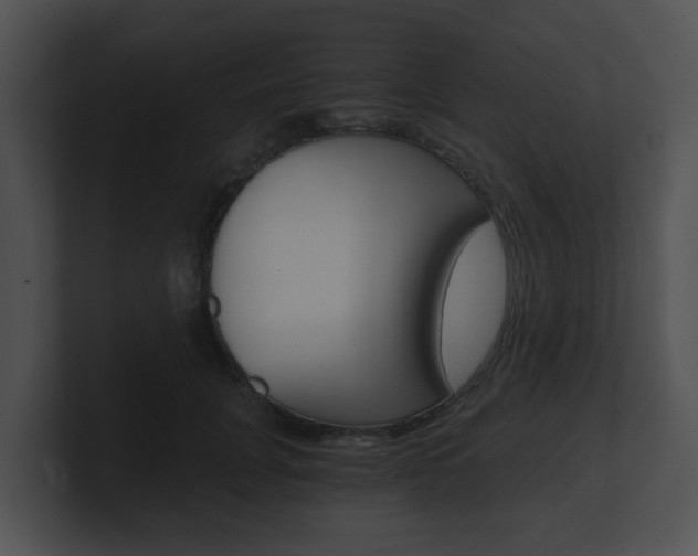 X0000100900751200806241030