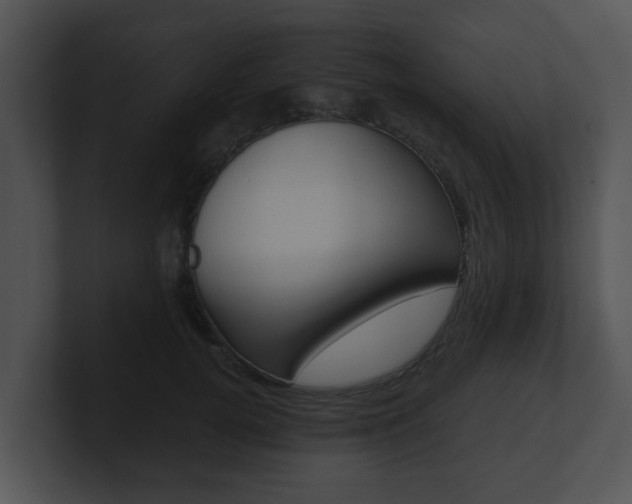X0000100900752200806241030