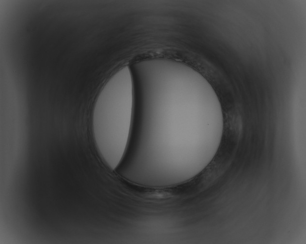 X0000100900754200806241030