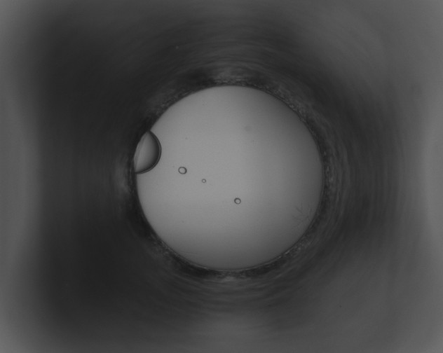 X0000100900755200806241030