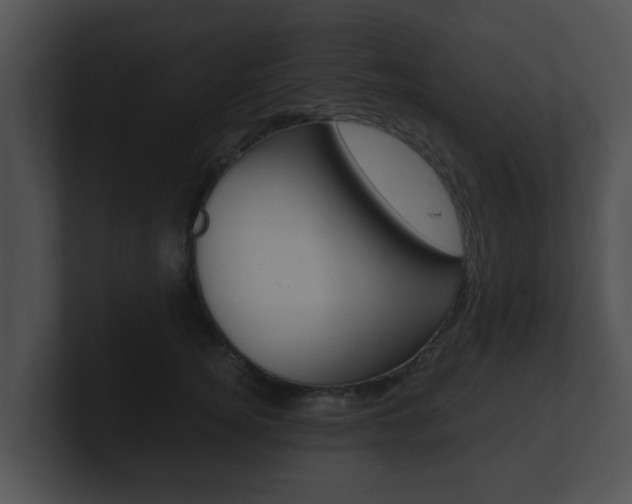 X0000100900756200806241030