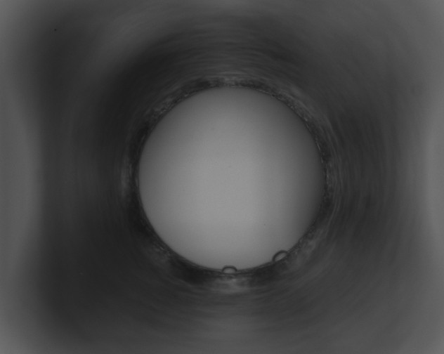 X0000100900760200806241030