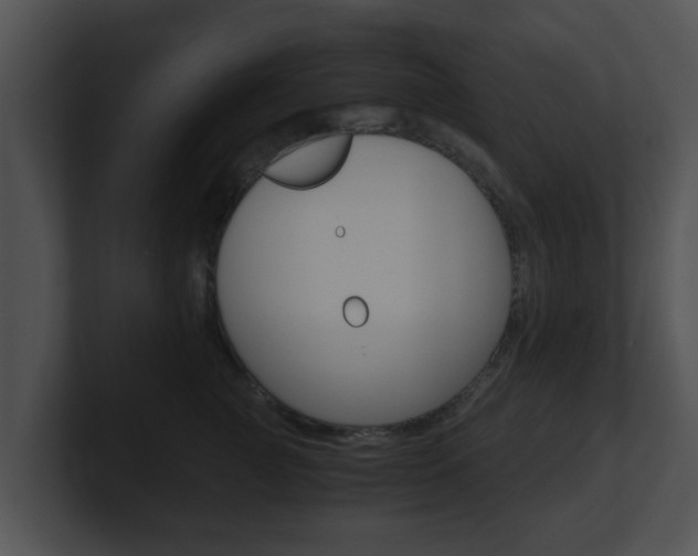 X0000100900761200806241030