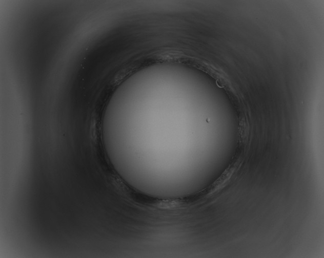 X0000100900762200806241030