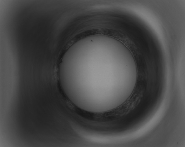 X0000100900766200806241030