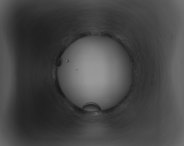 X0000100900768200806241030