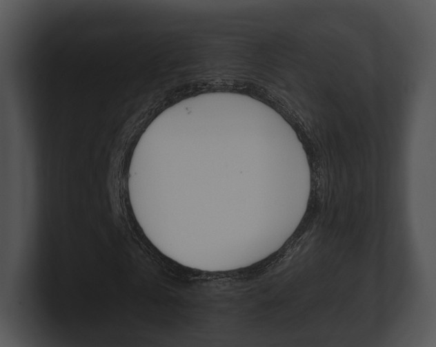 X0000100900769200806241030