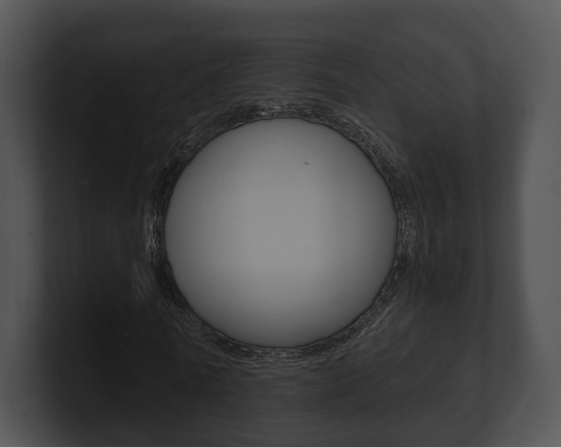 X0000100900770200806241030
