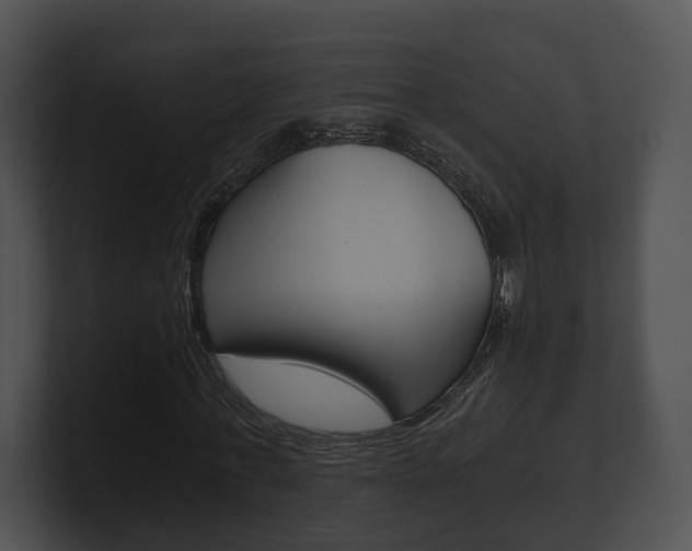 X0000100900771200806241030