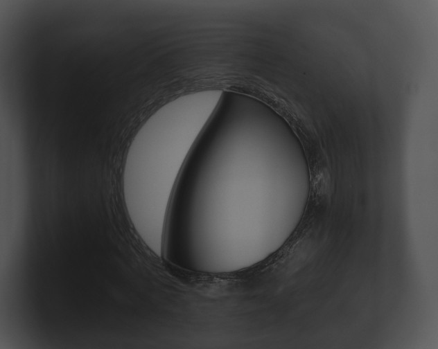 X0000100900772200806241030