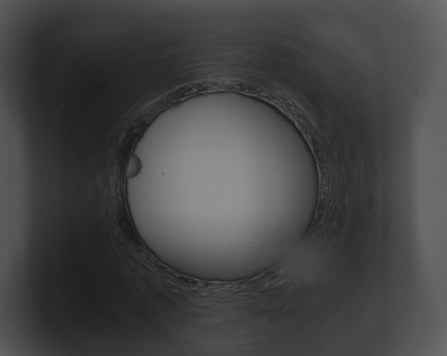 X0000100900773200806241030